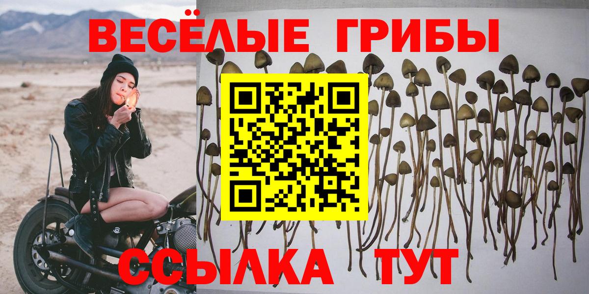 Галлюциногенные грибы Psilocybe  Вход с VPN  Псилоцибиновые грибы мицелий  Усолье-Сибирское 
