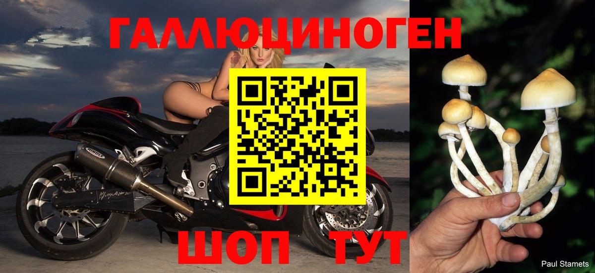 Галлюциногенные грибы Cubensis Усолье-Сибирское